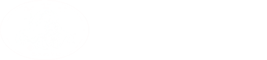 M.T. Trading Logo